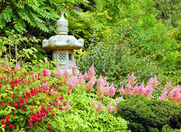 Jardin japonais — Photo