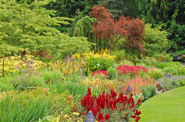 Weelderige botanische tuin — Stockfoto