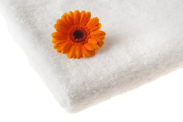 Handdoek en bloem over Wit — Stockfoto