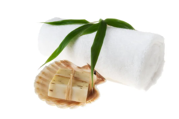 Bar Natural Rosemary Soap Seashell — Stock Photo, Image