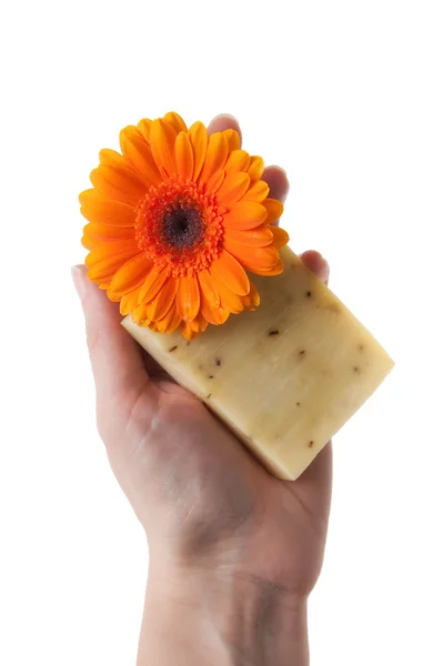 女性只手握住花和白上孤立的肥皂 — 图库照片
