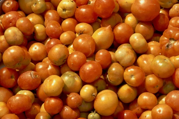 Tomatenhaufen — Stockfoto