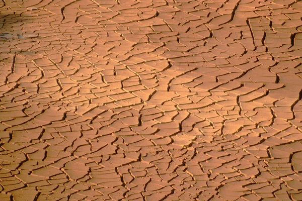 stock image Flake patterns of parched, yellowish brown, dryland