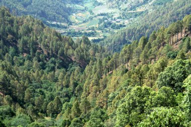 Manzara, yakınındaki çay molası, sitenin Barkot giderken Uttarakashi, Uttarakhand devlet, Hindistan