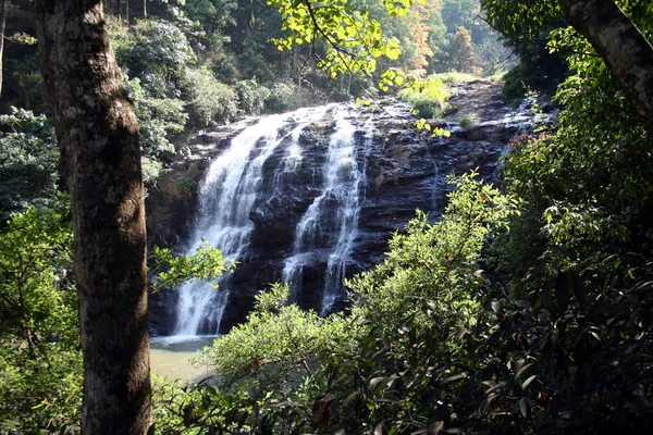 Водопады Видны Среди Густой Пышной Зеленой Растительности — стоковое фото