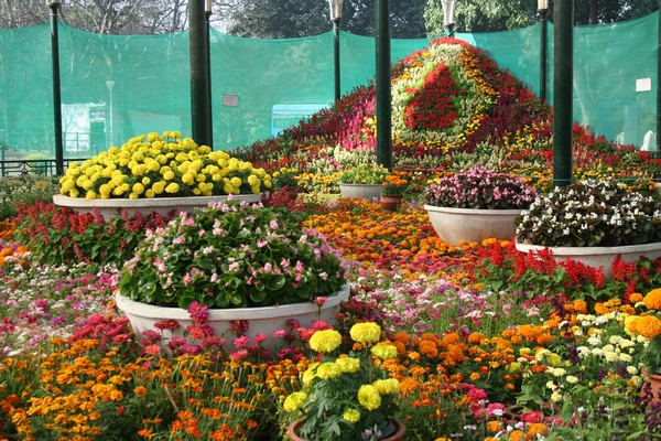 Prachtig Ingericht Smaakvol Ingerichte Kleurrijke Kleurrijke Bloemenshow — Stockfoto