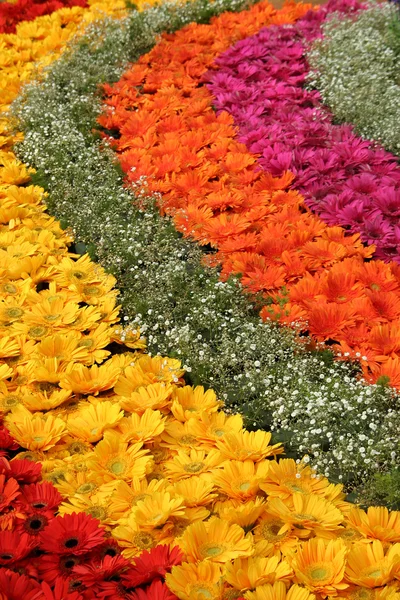 Zamknij Widok Koncentryczne Dekoracje Kwiatowe Show Kwiat Dzień Republiki Lalbagh — Zdjęcie stockowe