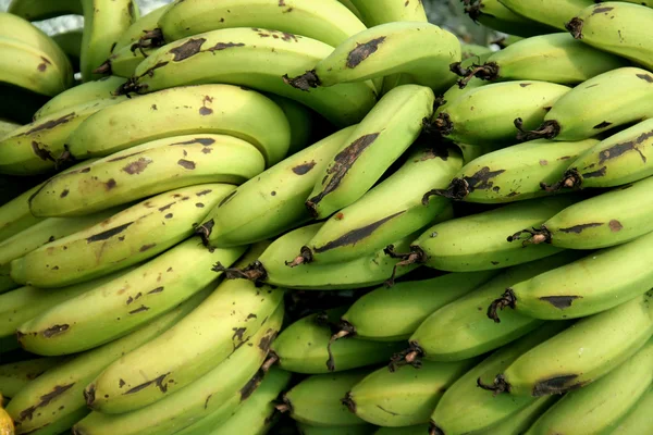 Banana Crop — Stock Photo, Image