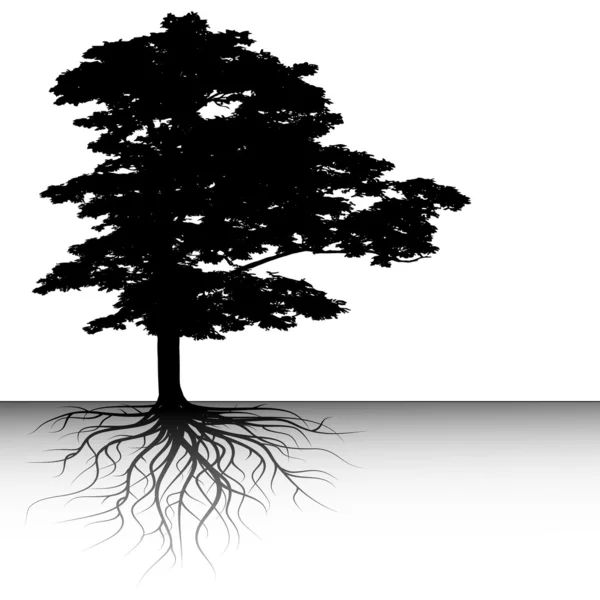 Bir alan için bir metin ile soyut ağacı — Stok Vektör