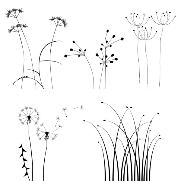 Collection, for designers, plant vector