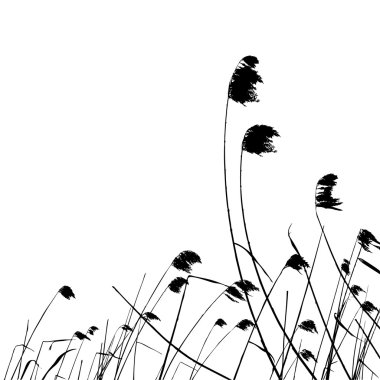 Real grass silhouette - vector clipart
