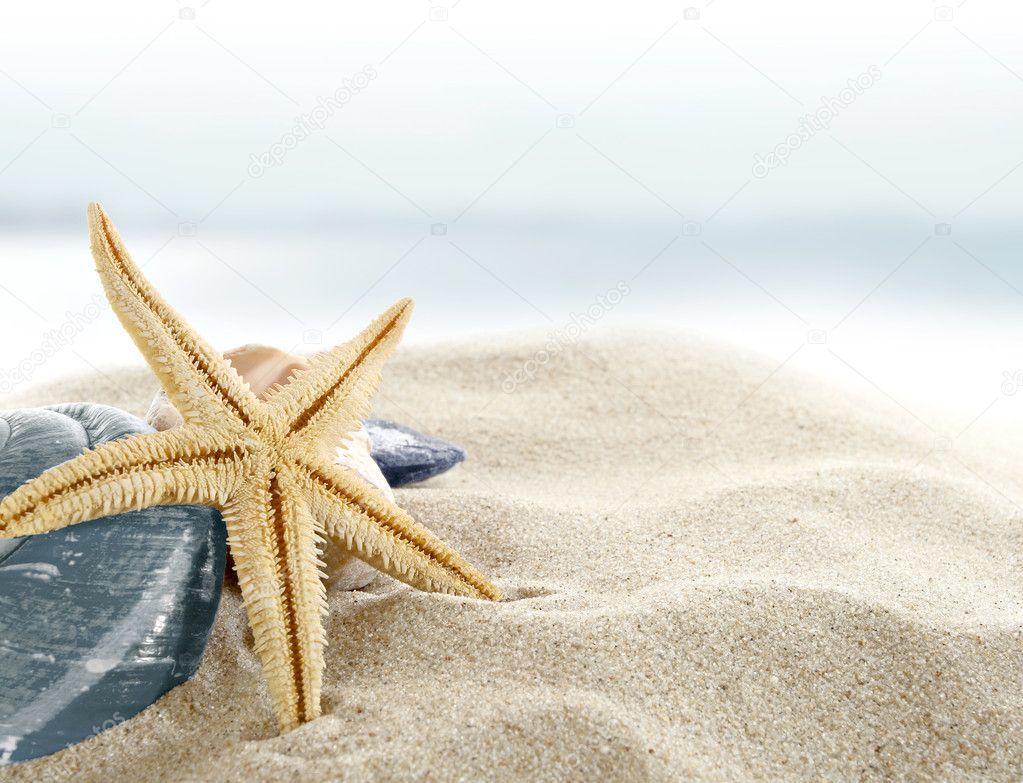 Starfish on the Beach