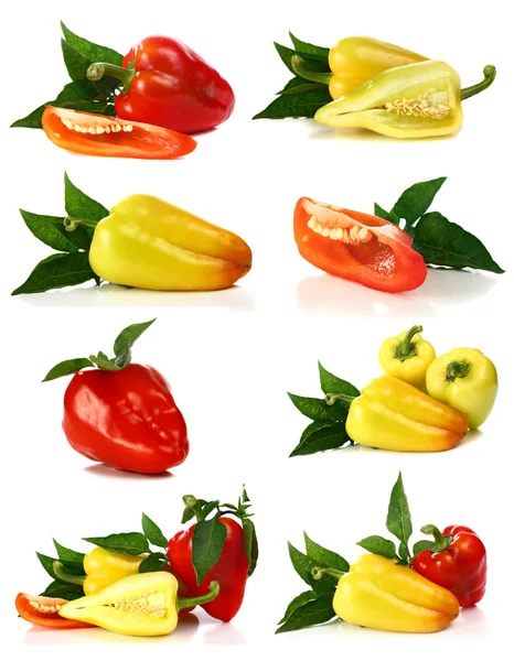 Röd och gul peppar — Stockfoto