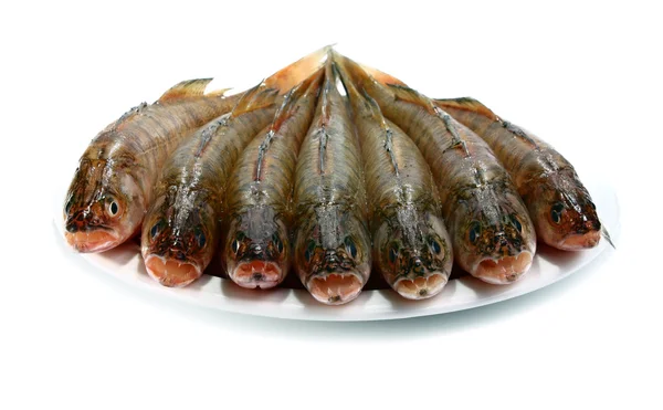 Pesce crudo fresco — Foto Stock