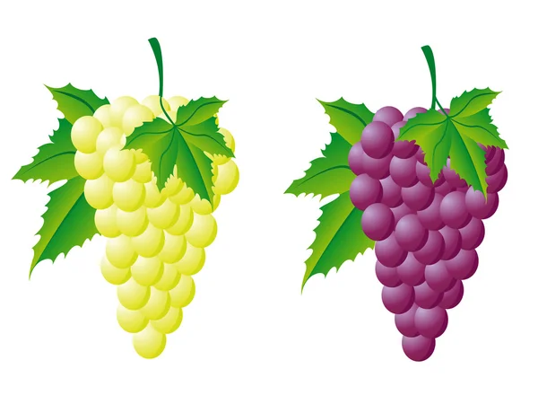 Виноград білий і червоний — стокове фото