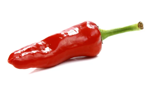 Red hot chili peppers — Stock Photo, Image