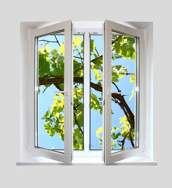 Open plastic window with a kind on grape-vine — Stock Photo, Image