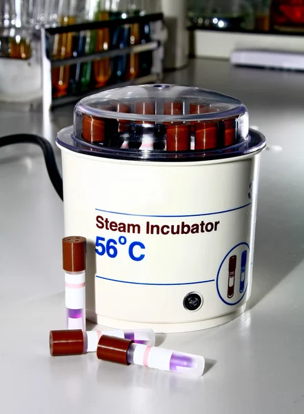 実験室のための蒸気のインキュベーター — ストック写真