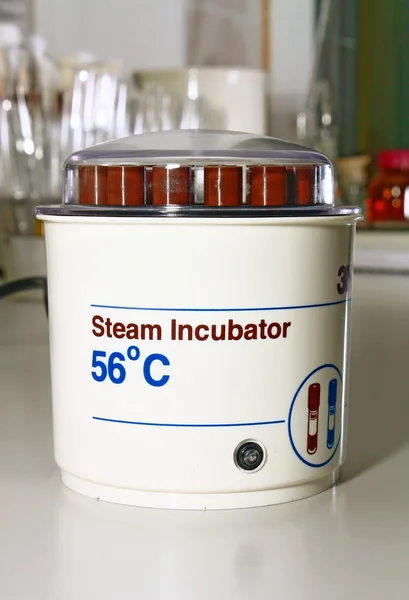 Stoom incubator voor een laboratorium — Stockfoto