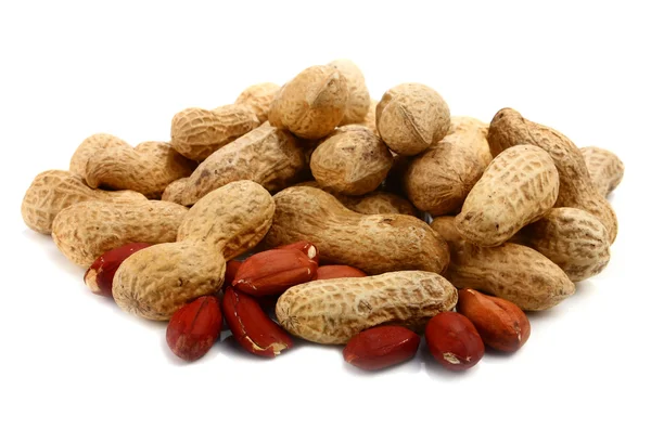 Peanut Isolated White Background — Stock Photo, Image