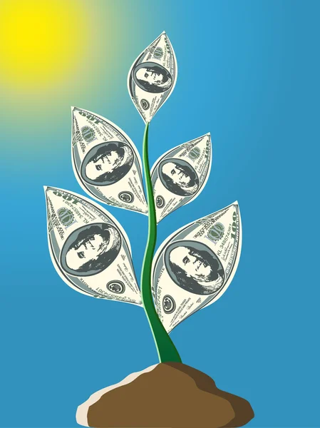 Plant One Hundred Dollar Notes Vector Illustration — Stock Vector