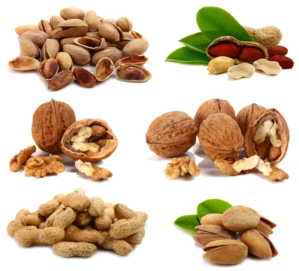 Nuts Isolated White Background — Stock Photo, Image