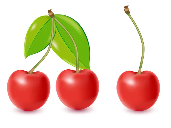 Cherry Illustrazione Isolato Sfondo Bianco — Foto Stock