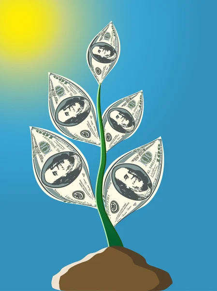 Plant from one hundred dollar notes — Stock Photo, Image