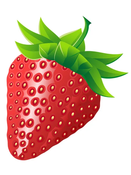 Strawberry Illustration Isolerade Vit Bakgrund — Stockfoto