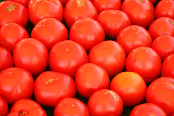Pomidory — Zdjęcie stockowe