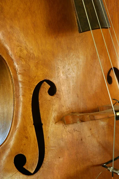 Bass Guitar — Stock Photo, Image