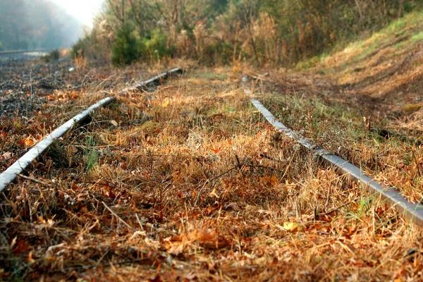 Abandoned Railroad Tracks — Stock Photo, Image