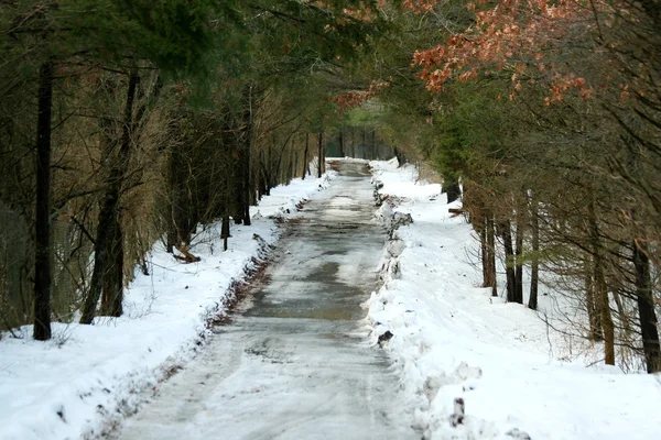 stock image Snowy path throught the woods