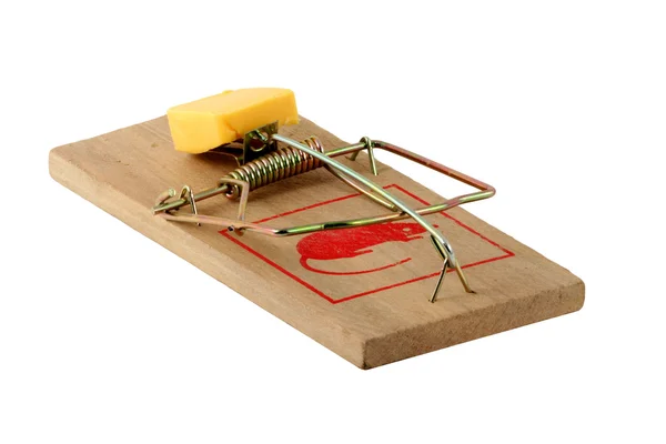 Isolated mouse trap — Stock Photo, Image