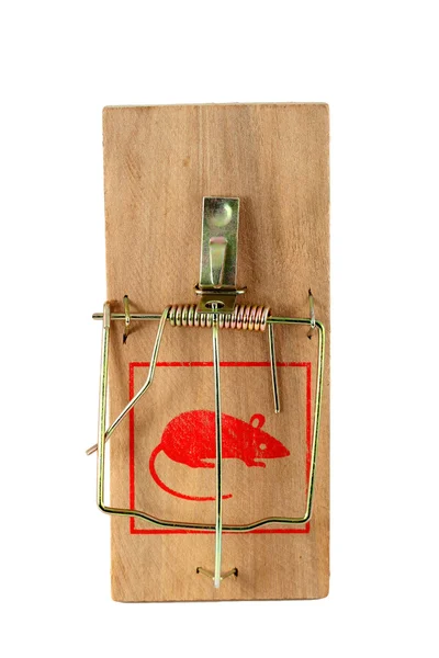 Isolated mouse trap — Stock Photo, Image