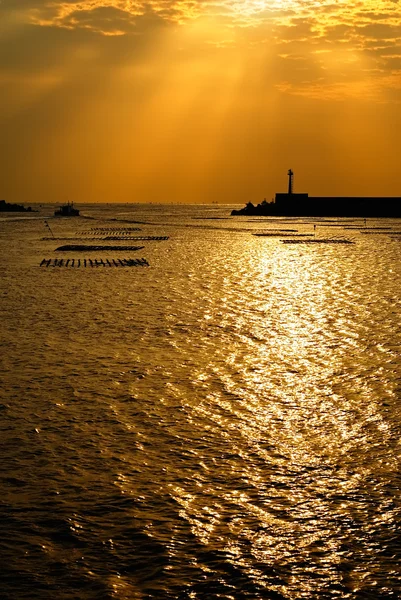 Landschap Sunset harbor — Stockfoto