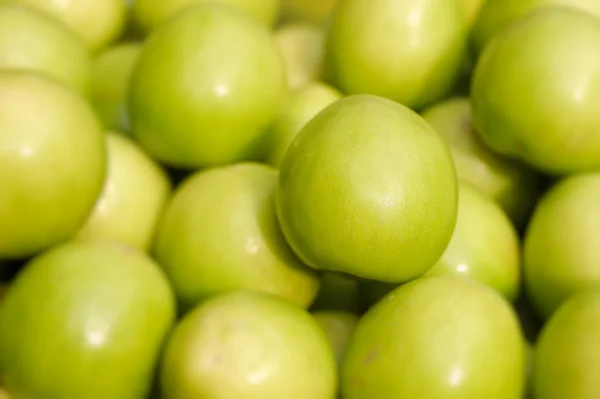 Stock image Indian jujubes