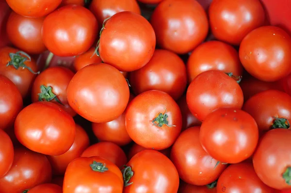 stock image Tomato