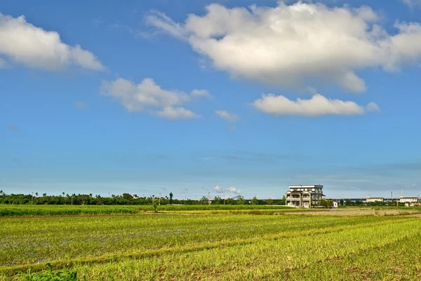 stock image Rural scenery