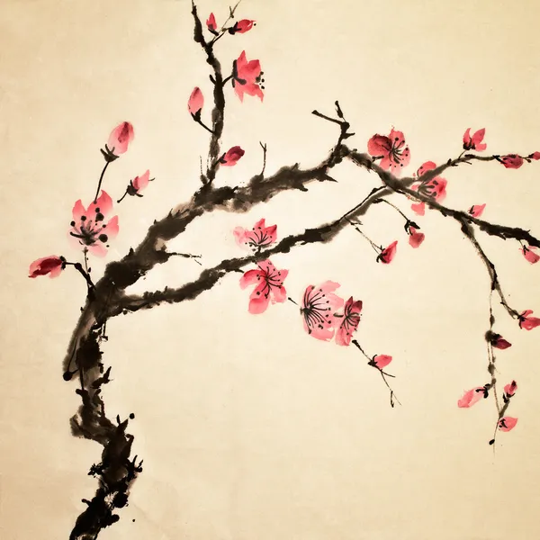 Flor chinesa — Fotografia de Stock