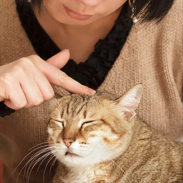 Stock image Comfortable