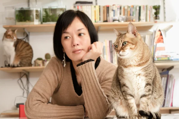 Macskák és a nő — Stock Fotó