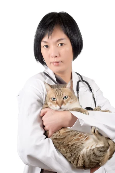 Stock image Animal doctor of Asian