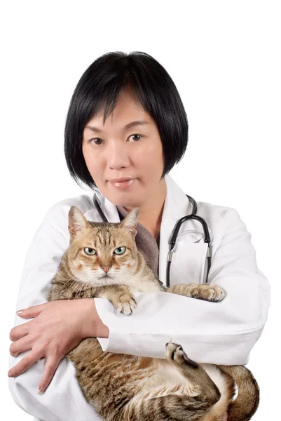 stock image Asian animal doctor