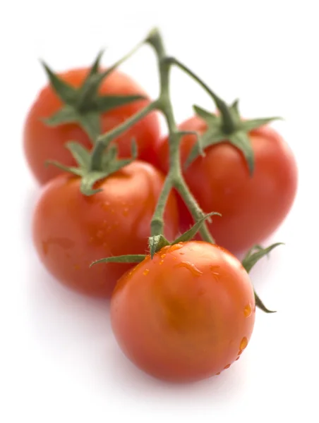 Rote Tomaten Isoliert Auf Weißen — Stockfoto