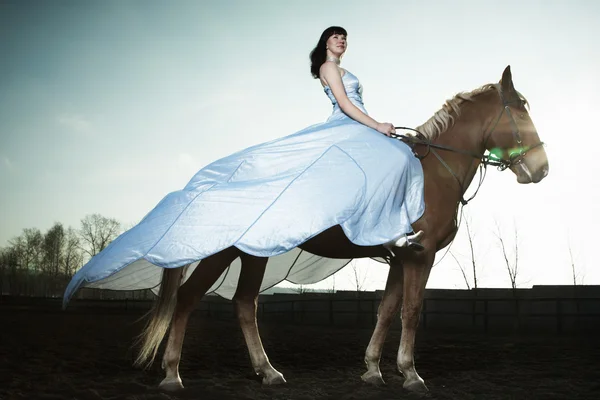 美丽的年轻女子，与一匹棕色的马 — 图库照片