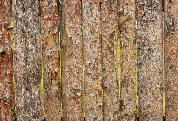 Fence from slab pines — Stock Photo, Image