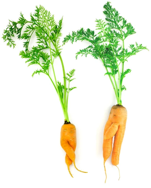 Carrots as a boy and girl — Stock Photo, Image