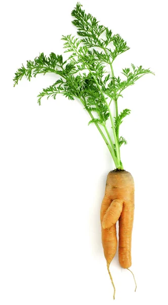 Carrot-boy — Stock Photo, Image