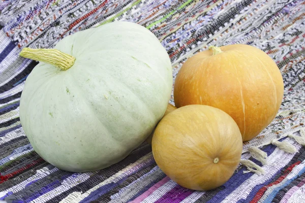 Three mellow pumpkin — Stock Photo, Image